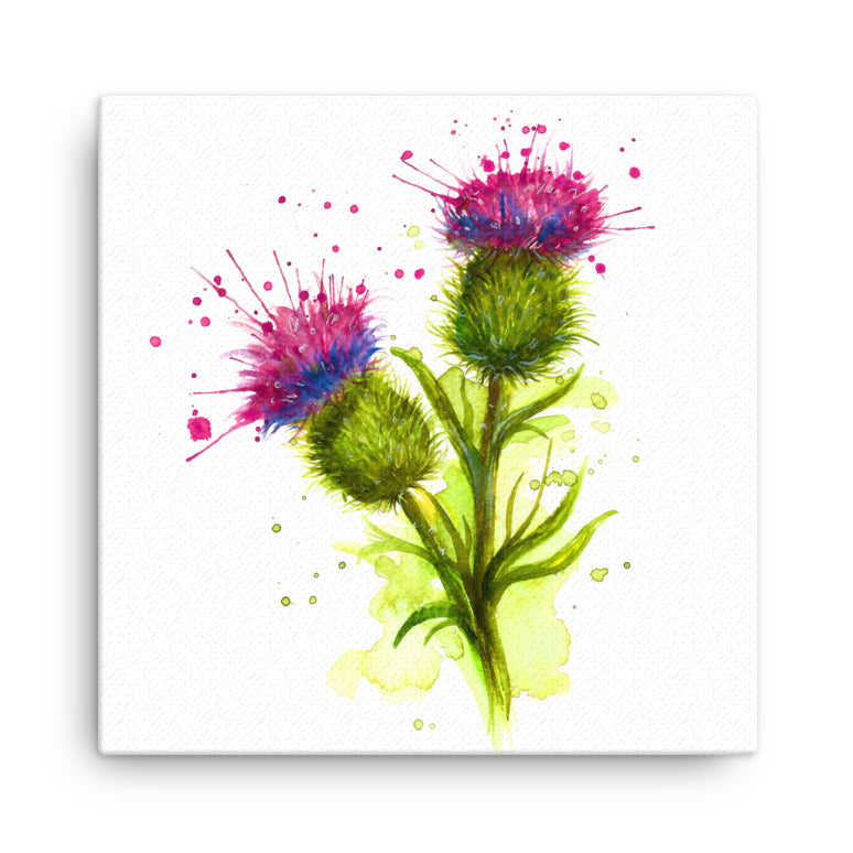 Splatter Thistle Mini Canvas (20cmx20cm)