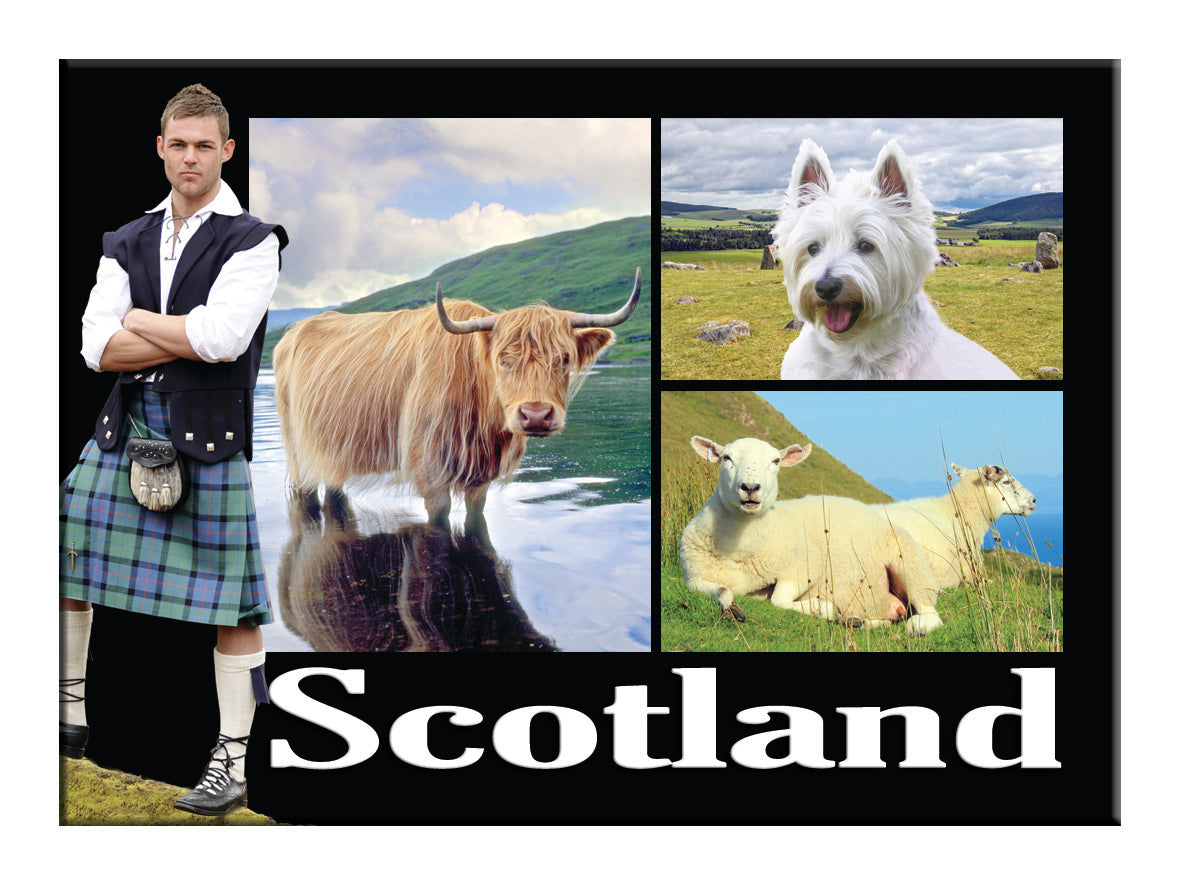 Piper with Coo & Westie Montage Magnet