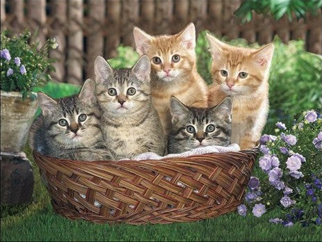 Kittens in Basket 3D Wall Art