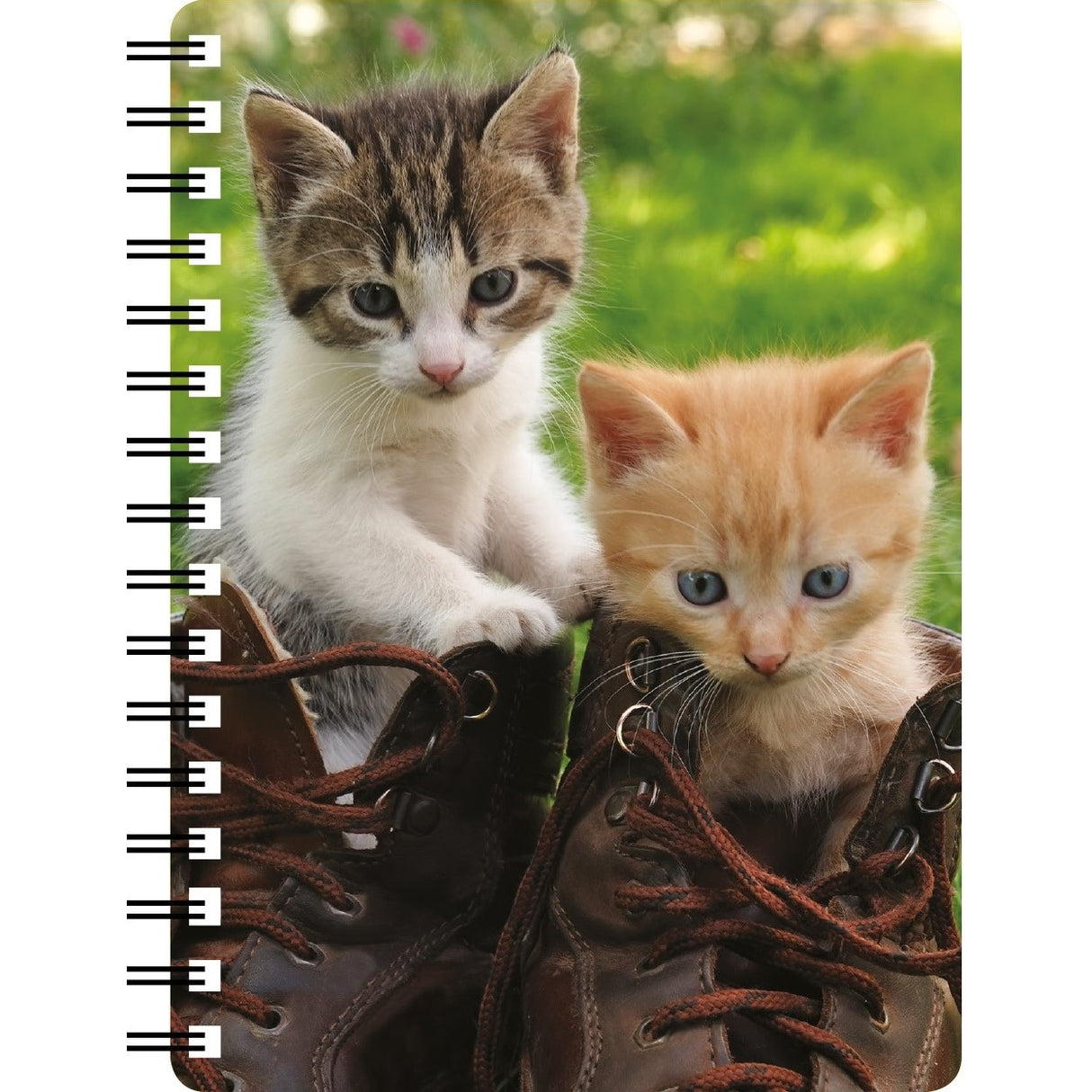 Pair of Kittens in Boots 3D Notebook