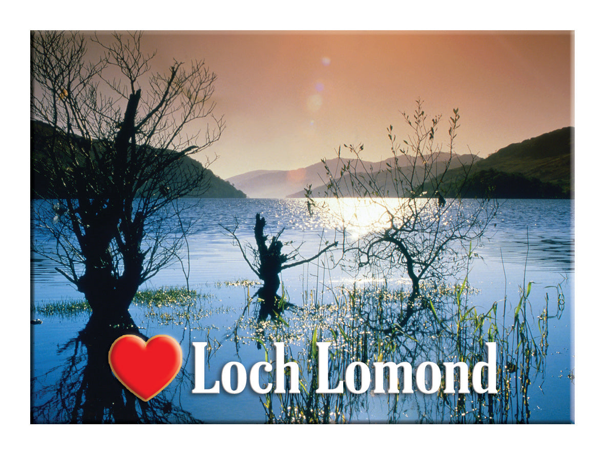 Loch Lomond Dusk, Foliage in the Loch Magnet