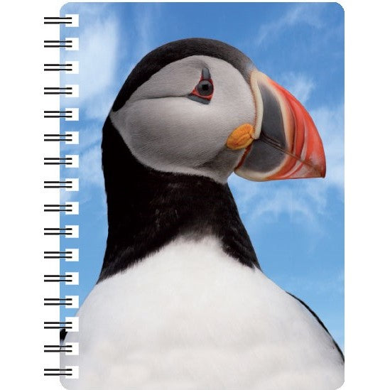 Puffin 3D Notebook