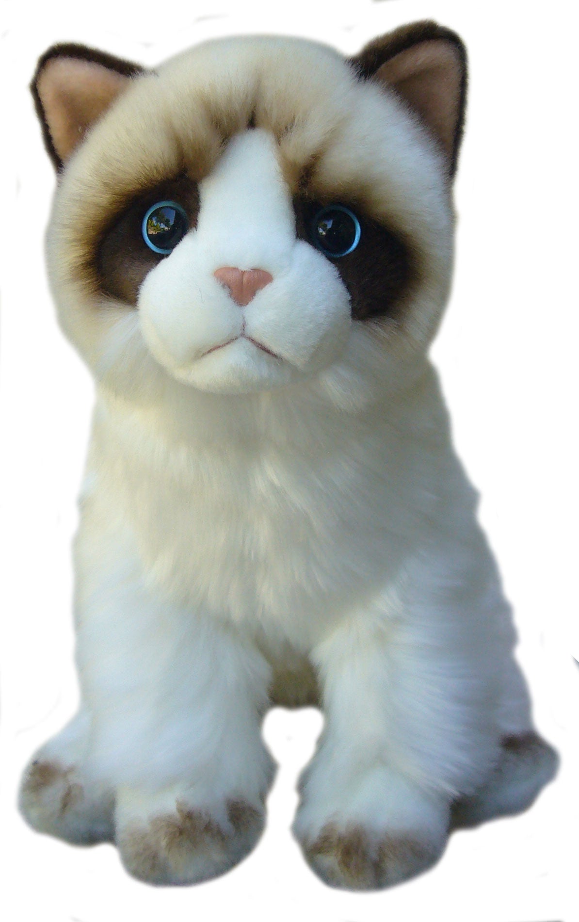 12 inch Ragdoll Cat Soft Toy