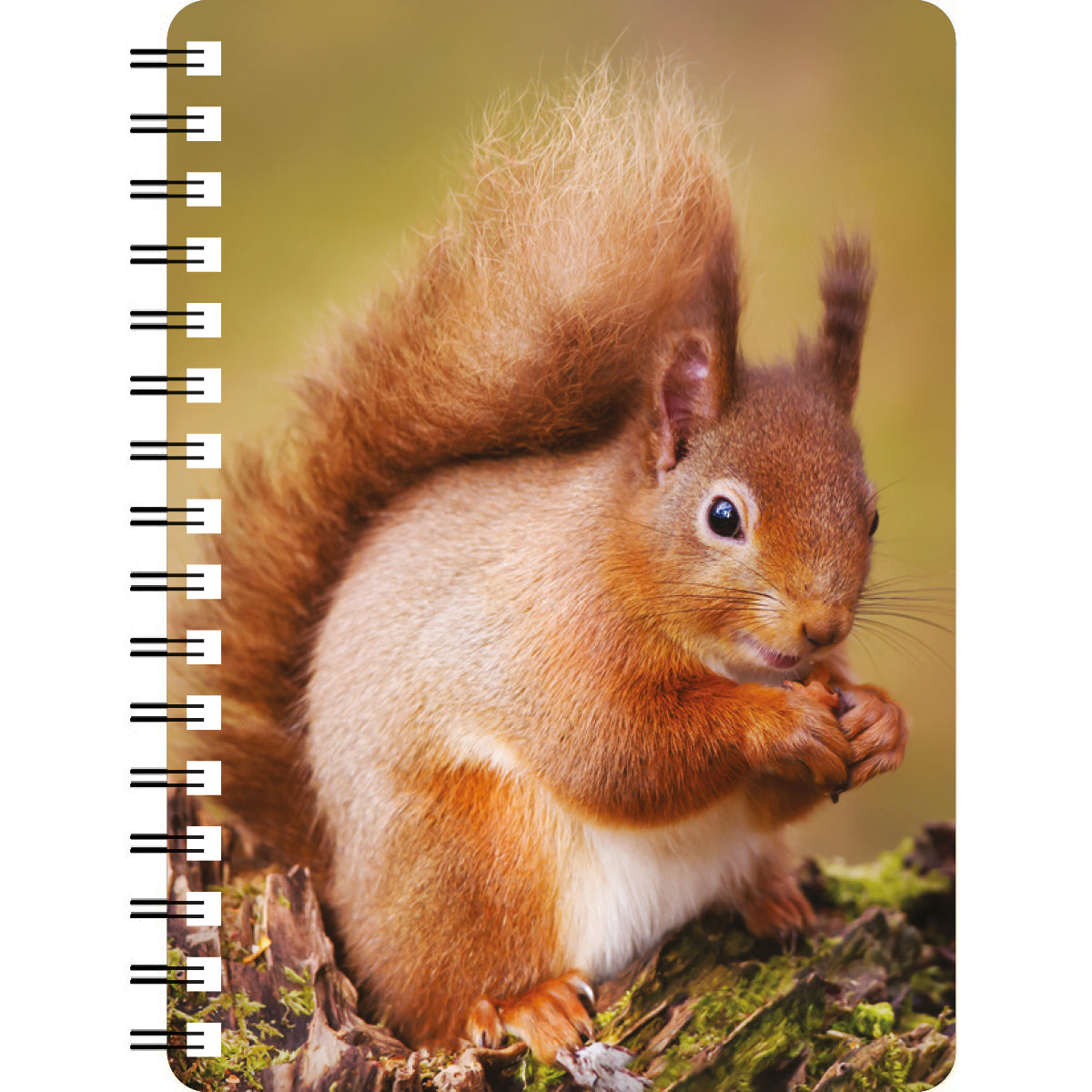 Red Squirrel 3D Notebook