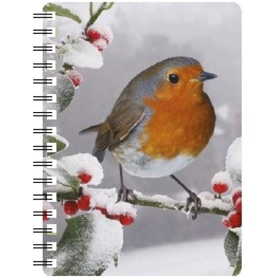 Robin in the Snow 3D Notebook