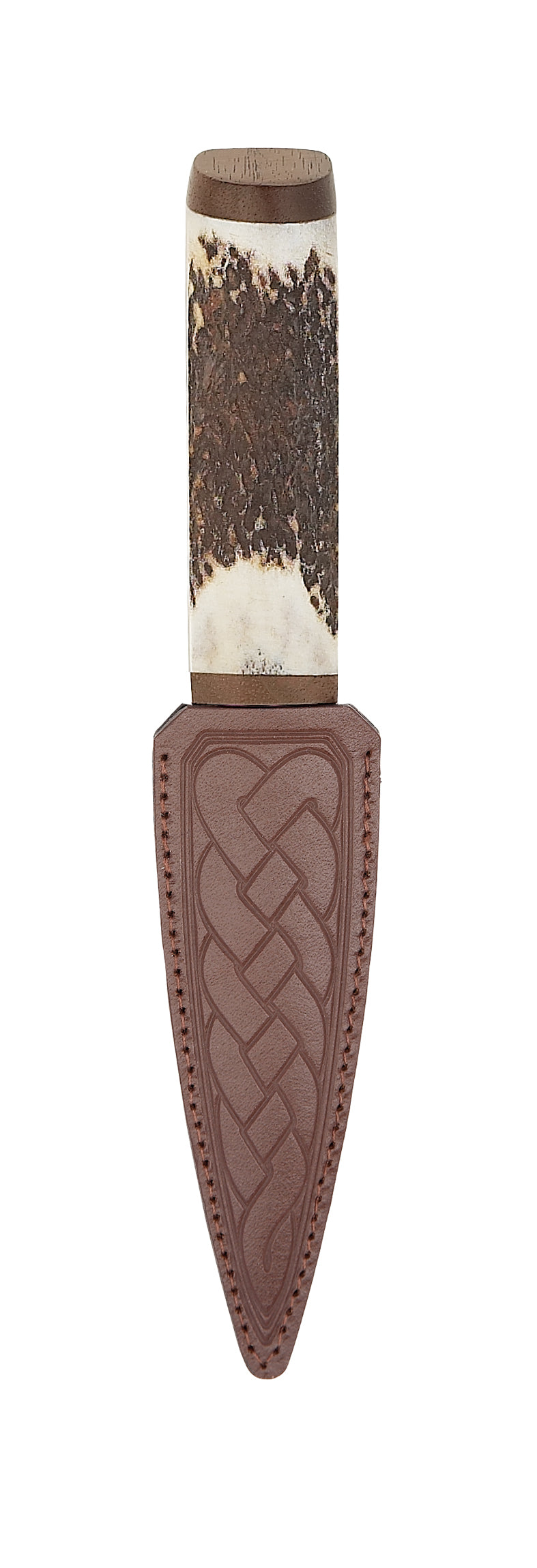 Stag horn with Walnut Cap Sgian Dubh