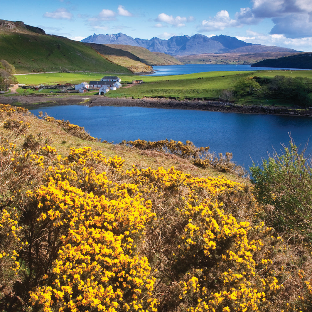 Cuillins Skye Card