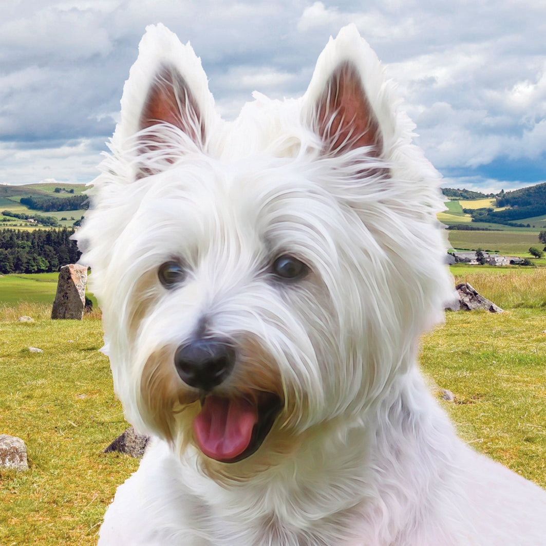 Westie Card