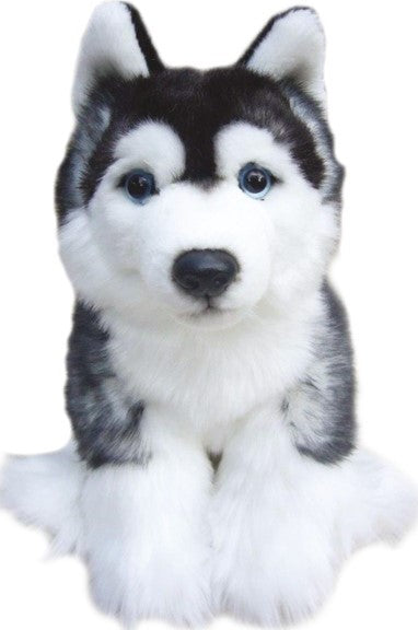 12 inch Siberian Husky Soft Toy