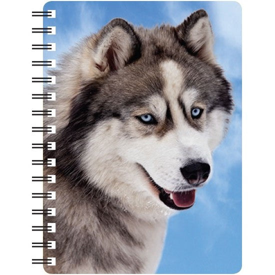 Wolf 3D Notebook