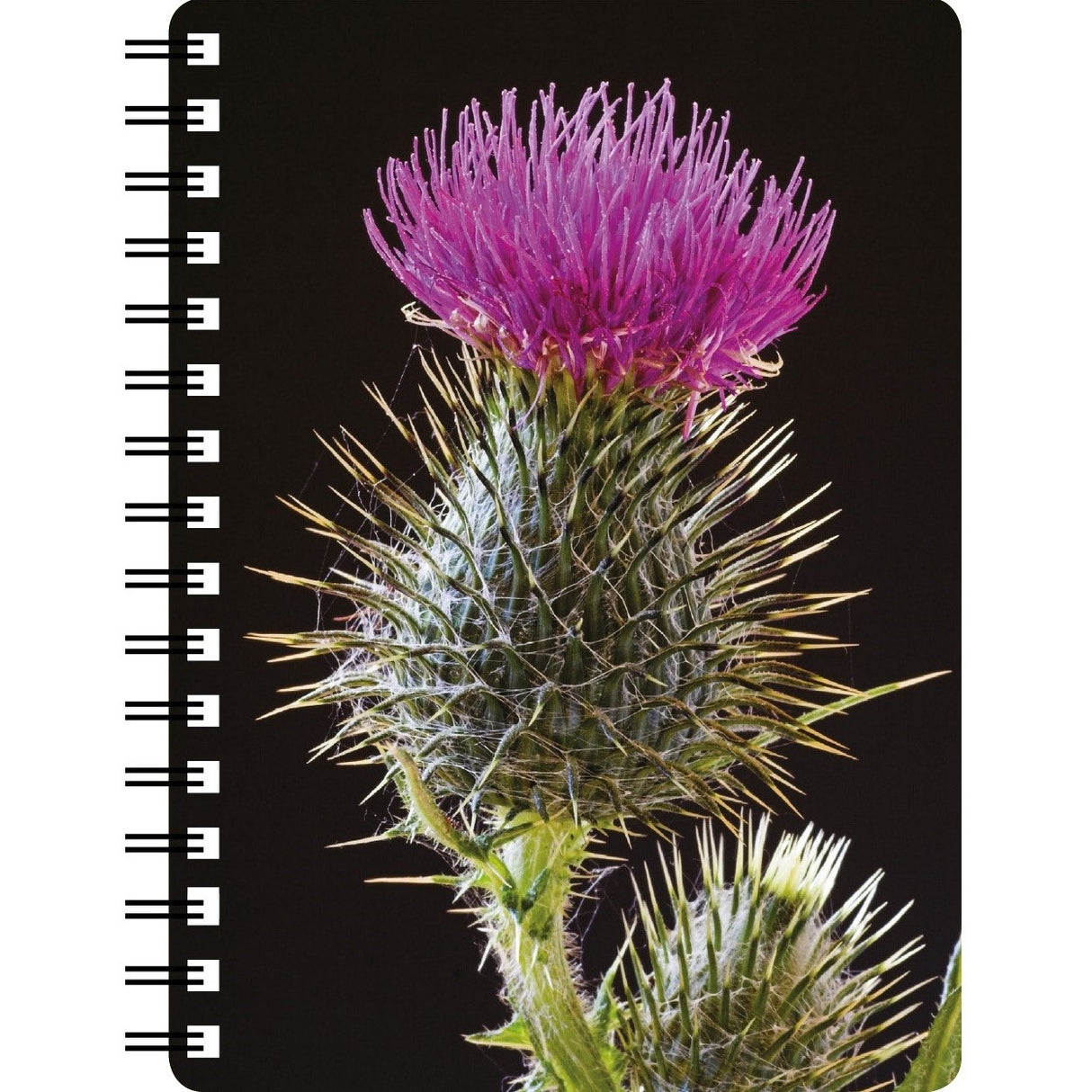 Spear thistle 3D Notebook