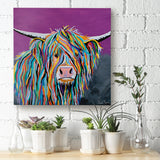 Angus McCoo Deluxe Canvas (16 inch x 16 inch)