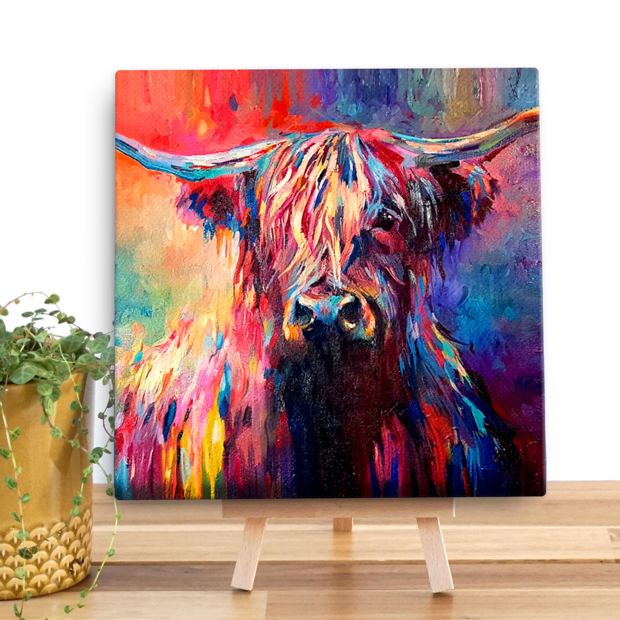 Highland Cow Large Canvas (40cmx40cm)