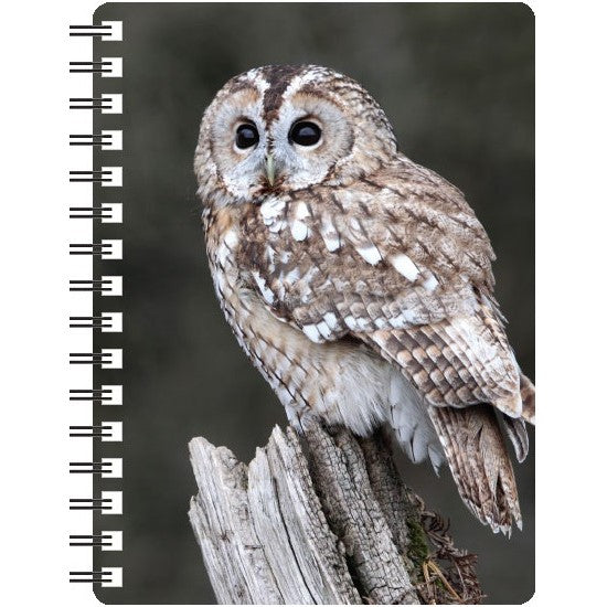 Owl 3D Notebook