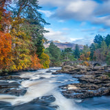 Tay Berry Eau De Parfum 50ml