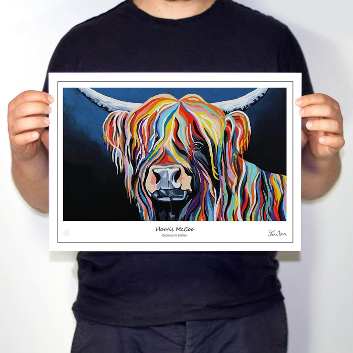 Harris McCoo A3 Print (unframed)